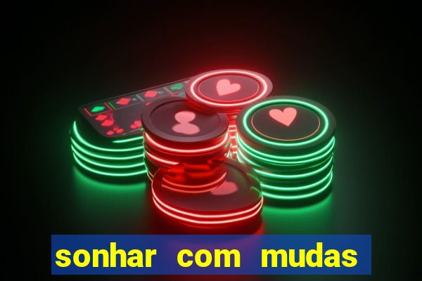 sonhar com mudas de plantas